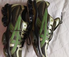 Us5-s Gel-quantum Kinetic
