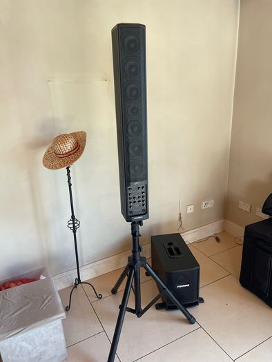 Fishman sa330x