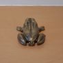 Antique solid brass frog, ashtray or earring holder Image 3
