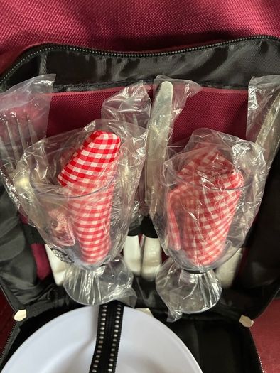 Brand New Picnic Cooler Bag