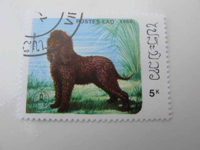 Set of Laos Stamps featuring Dogs