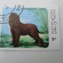 Set of Laos Stamps featuring Dogs Image 5