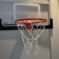 Basketball Indoor hoop