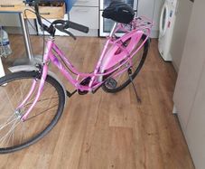 ladies bike