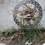two bicycle wheels Image 2