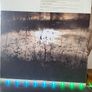 Earth - Hibernaculum (Limited Picture Disc) Image 9