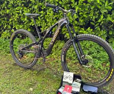 Electric S Works Levo SL