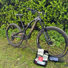 Electric S Works Levo SL