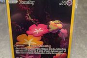 Crown Zenith Comfey GG14