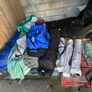 swift challanger Image 4