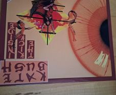 Kate Bush Vinyl