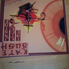Kate Bush Vinyl