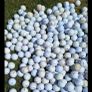 150 golf balls Image 2