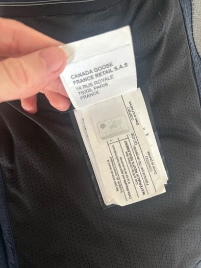 Canada goose hybridge