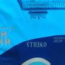 Dublin commemorative jersey Image 2