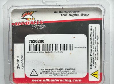 Kawasaki All Balls Wheel Bearing kit