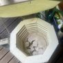 kiln Image 4