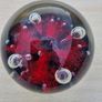 Caithness Glass Moonflower Paperweight Image 2