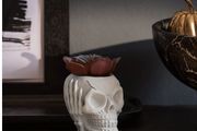 Halloween Decorations