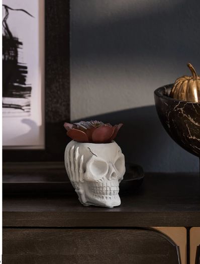 Halloween Decorations