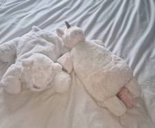 2 covered hot water bottles m&s