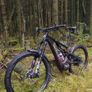 Specialized Turbo Levo Comp Image 6