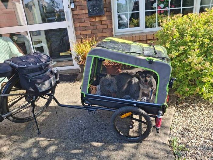 dog trailer