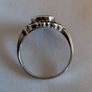 Ring Image 2