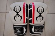 Boxing Gloves 14oz
