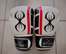 Boxing Gloves 14oz