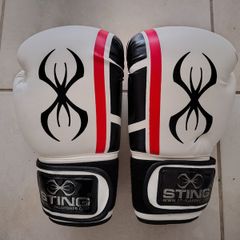 Boxing Gloves 14oz