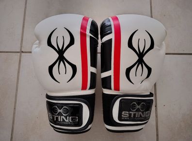 Boxing Gloves 14oz