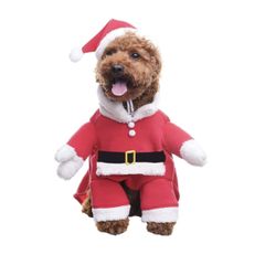 Dog Costume