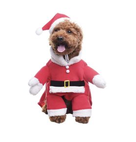 Dog Costume