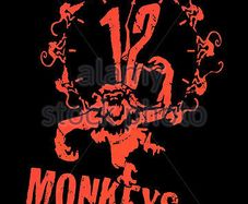 Twelve Monkeys Dvd Brand New