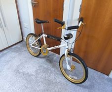 Raleigh  Styler Bmx