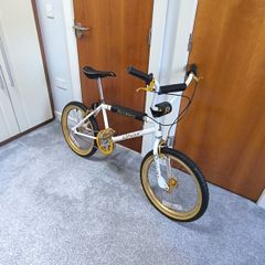 Raleigh  Styler Bmx