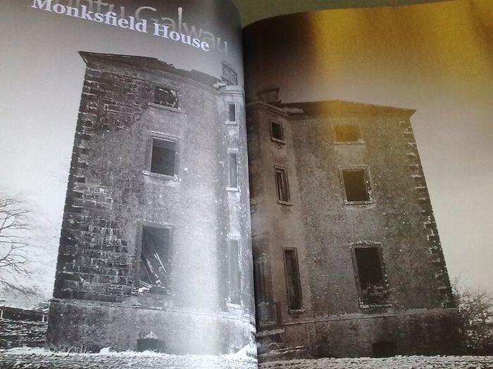 Abandoned Mansions of Ireland Irish history Signed by writer Tarquin Blake