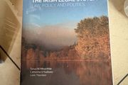 Fundamentals Of The Irish Legal System Law, Policy And Politics
