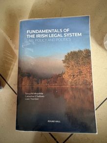 Fundamentals Of The Irish Legal System Law, Policy And Politics