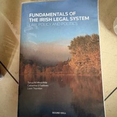 Fundamentals Of The Irish Legal System Law, Policy And Politics