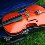 Stentor  1/2 Size,  Violin with Wood Bow, Hard Case, 1/2 Size) Image 3