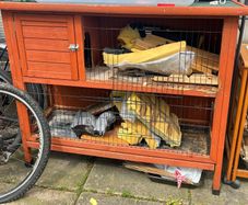 Chicken Coop