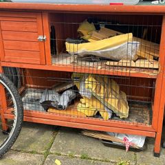 Chicken Coop