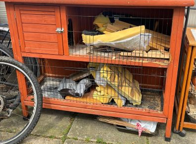 Chicken Coop
