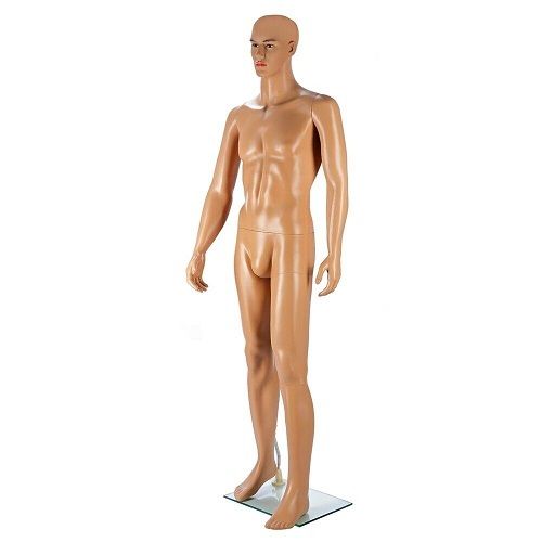 Home or Business male mannequin - FREE Delivery