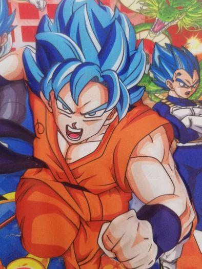 Dragonball Z 3D Schoolbag