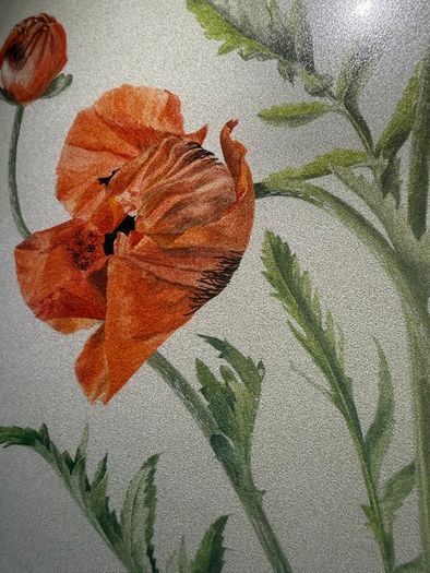 Original Elizabeth A. McEwen Botanical Watercolour - Poppies