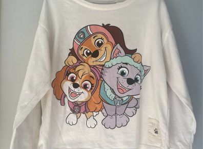 Zara Paw Patrol long sleeve top Size 3 EUC
