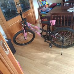 Girls bike